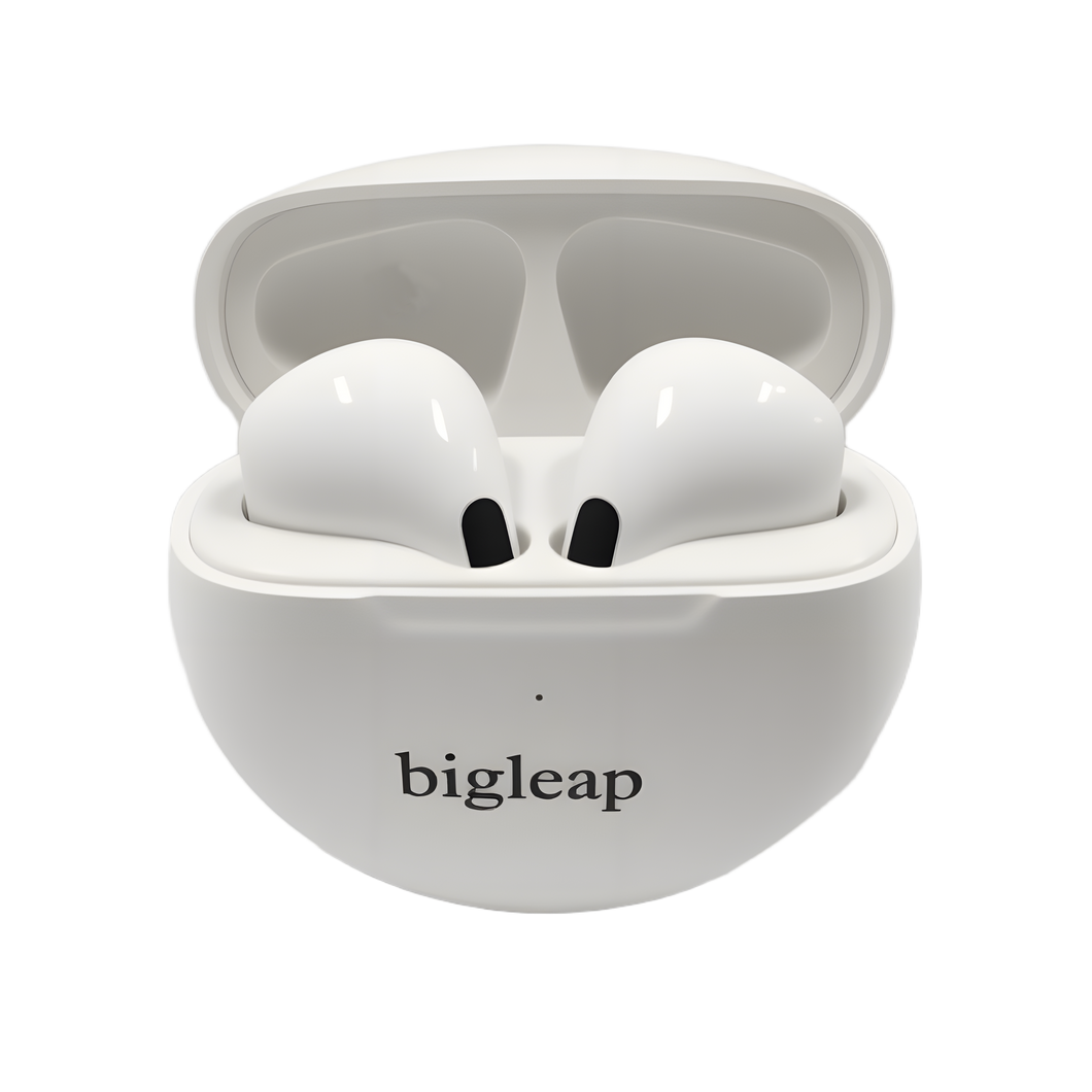 Bigleap Wireless Earbuds, Bluetooth Ear Buds Headphones with LED Charging Case, Lightweight in-Ear Earphones for iPhone Android Sports Workout