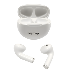 Bigleap Wireless Earbuds, Bluetooth Ear Buds Headphones with LED Charging Case, Lightweight in-Ear Earphones for iPhone Android Sports Workout