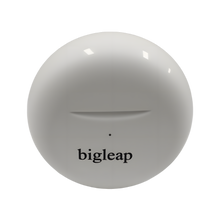 Load image into Gallery viewer, Bigleap Wireless Earbuds, Bluetooth Ear Buds Headphones with LED Charging Case, Lightweight in-Ear Earphones for iPhone Android Sports Workout
