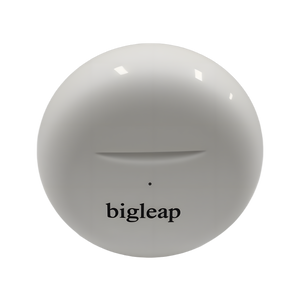 Bigleap Wireless Earbuds, Bluetooth Ear Buds Headphones with LED Charging Case, Lightweight in-Ear Earphones for iPhone Android Sports Workout